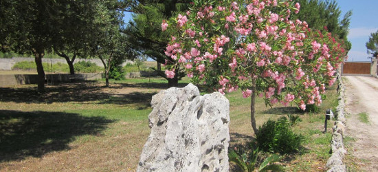 title_6937690c460fd16031475031765239052