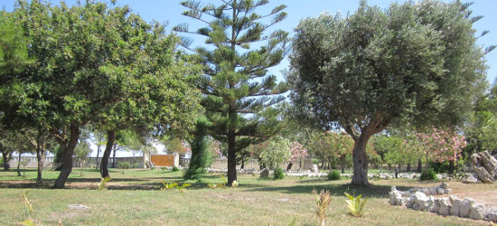 title_6937690c4620a18357325381765239052